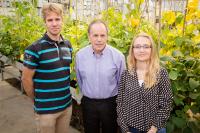 Photosynthesis Team
