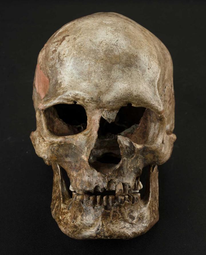 Dolnte Vestonice burial