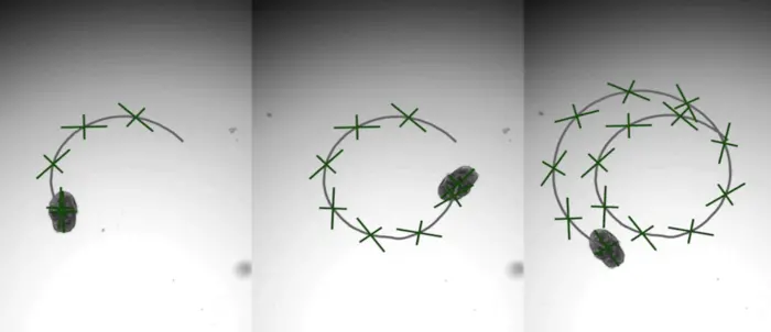 Characterization of hybrid Aggrebot motility