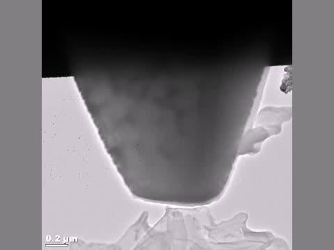 Watching Whiskers Grow in Lithium Batteries