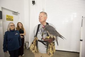 Bird Flight Research Advances Drone Technology and Wild Raptor Care