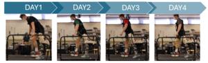 Robotic leg training