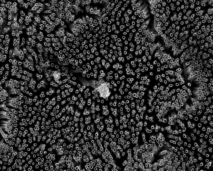 Nanotubes