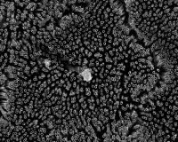 Nanotubes