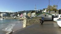 Human Looking at Gull