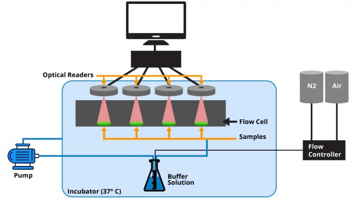 Experimental Set-Up