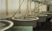Mesocosms in the RTC greenhouse