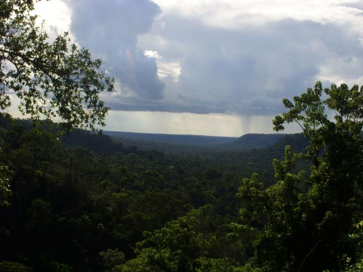 Atlantic Forest