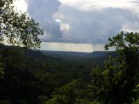 Atlantic Forest