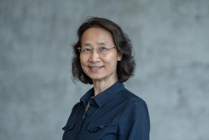 Dr. Hong Li