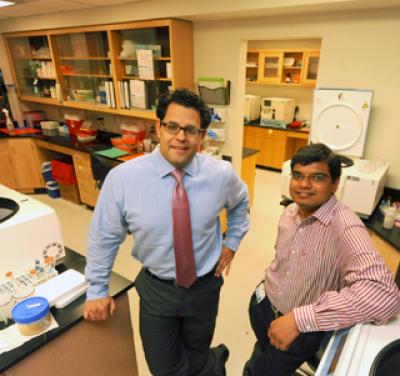 Drs. Norman Pollock and Samip Parikh, Georgia Health Sciences University