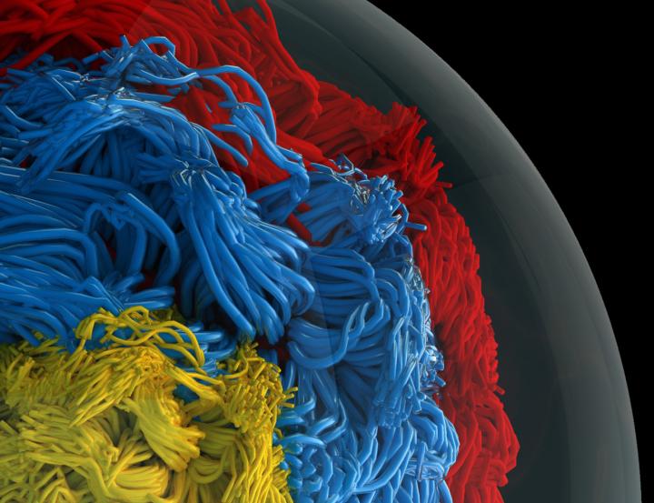 Droplet Containing Different Intrinsically Disordered Proteins