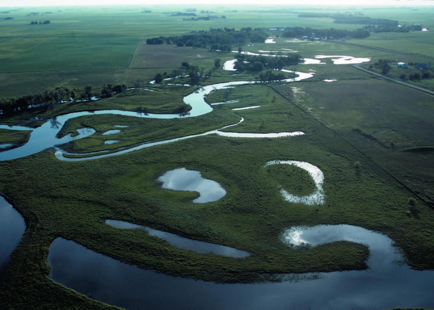 Midwest Wetland
