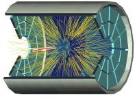 STAR Time Projection Chamber