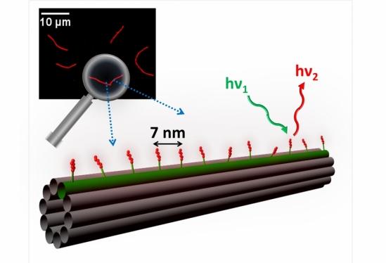 DNA Nanotube
