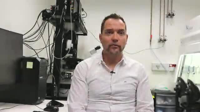 IBEC Biobots explained by expert