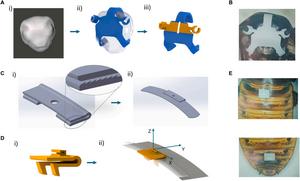 Designing the wearable device using the 3D model of the cockroach head and abdomen segments.