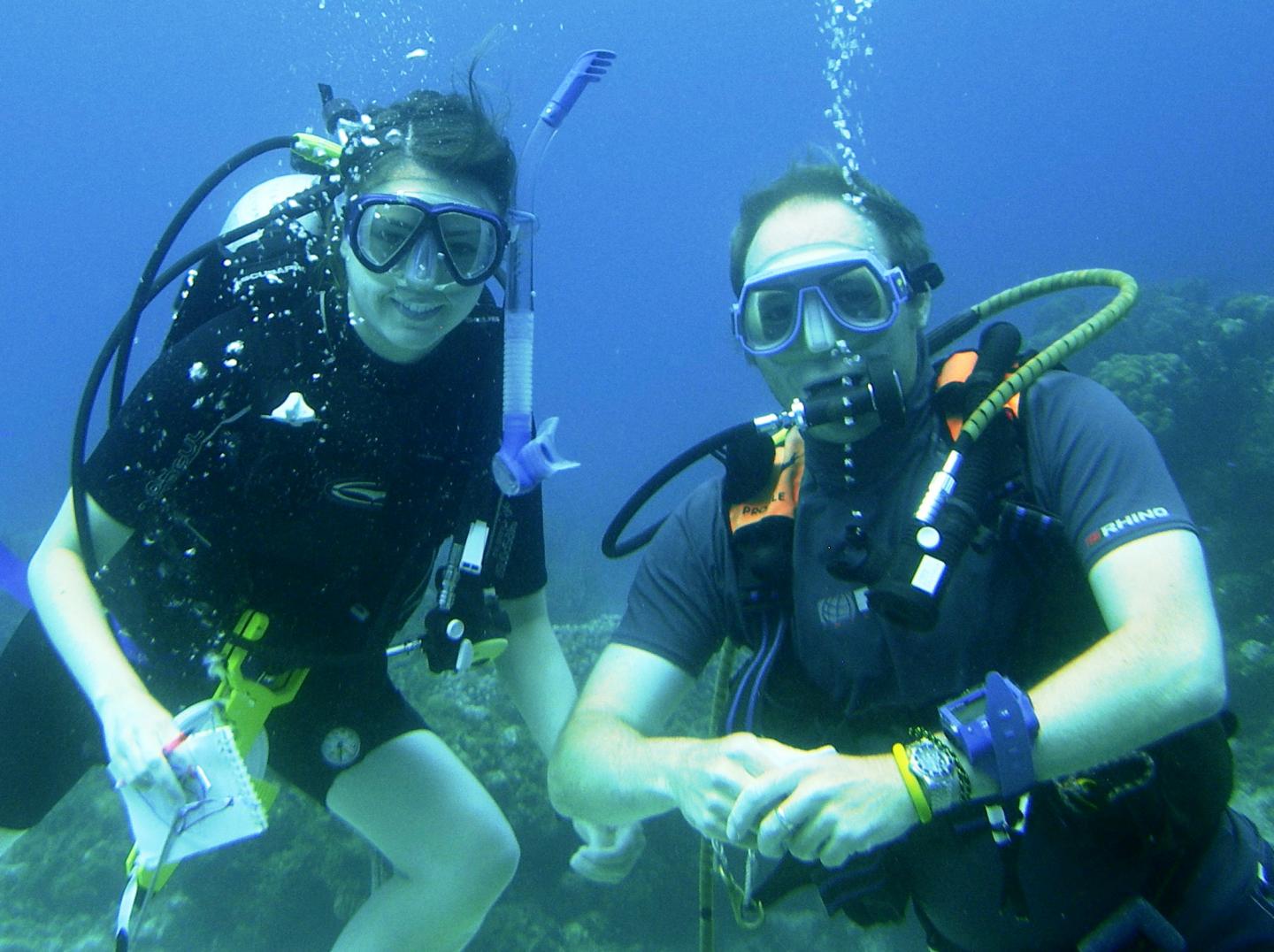 Caribbean Coral Research