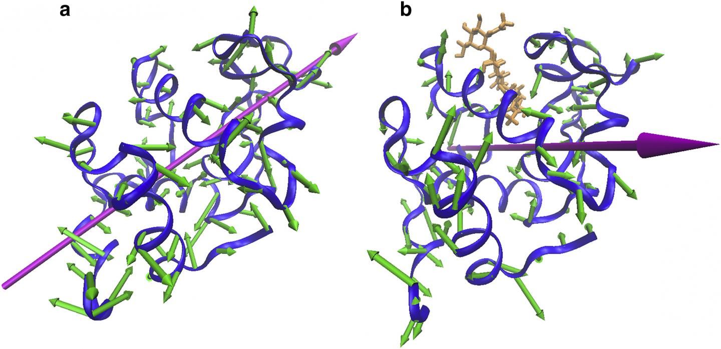 Dancing Proteins