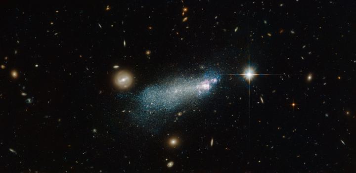 Hubble Sees an Intriguing Young-Looking Dwarf Galaxy