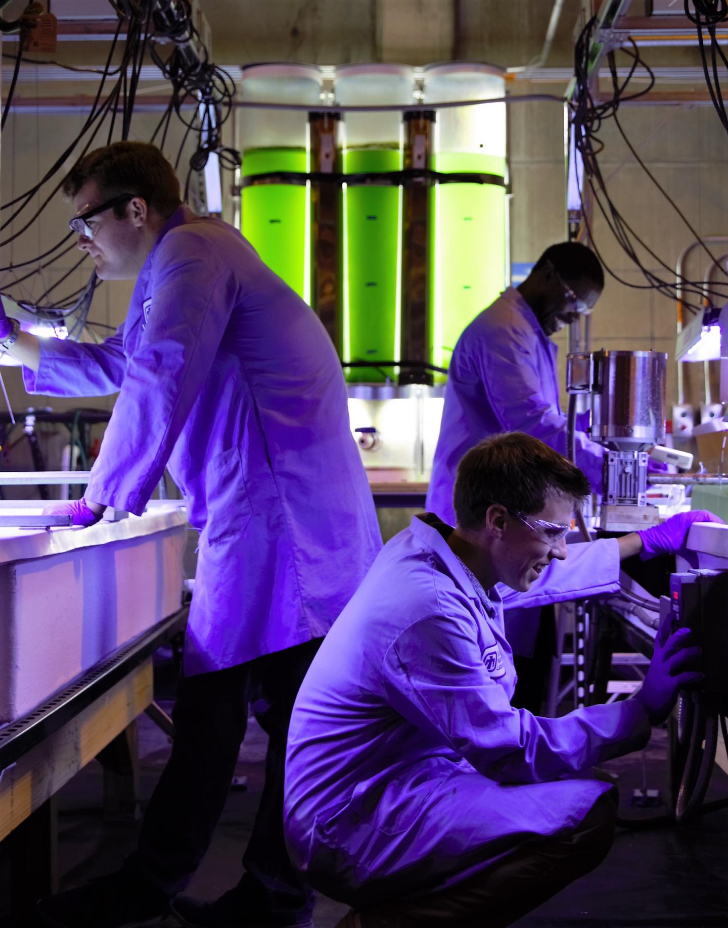 Sandia Researchers on HelioBioSys Project