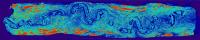 Micro-CT Scan of a Fin Whale VGB Nerve