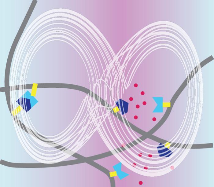 "Chaotic dynamics" in active soft materials