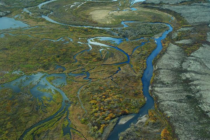 Wetland