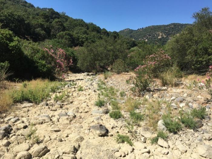 A new method for improving ecological monitoring in intermittent rivers