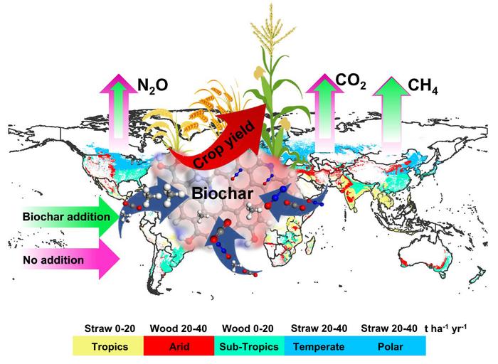 An optimal global biochar application strategy based on matching biochar and soil properties to reduce global cropland greenhouse gas emissions: findings from a global meta-analysis and density functional theory calculation