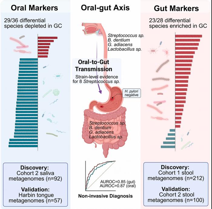Distinct signatures in the human gut  and oral microbiomes of gastric cancer