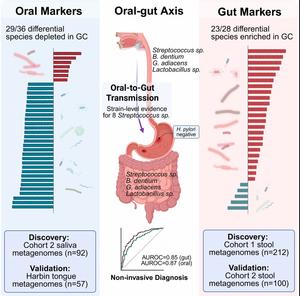 Distinct signatures in the human gut  and oral microbiomes of gastric cancer