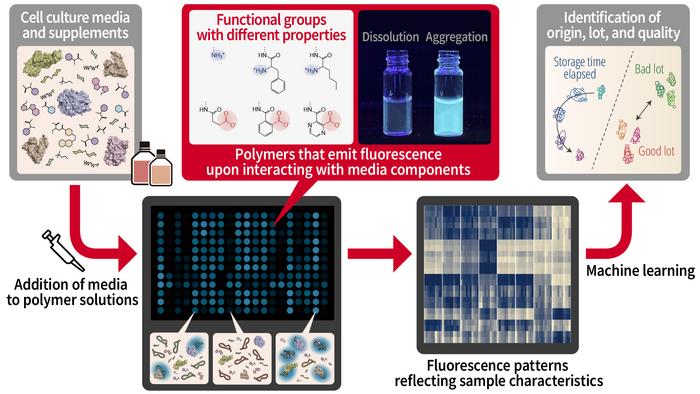 New technology for identifying differences and conditions in culture media to support cell-culture-based biomanufacturing