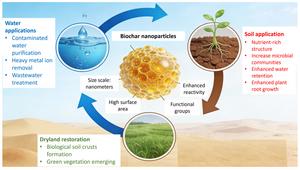 Nanobiochar as a multifunctional amendment for coupled water-soil-biota systems: applications in agricultural production, environmental remediation, and arid ecosystem restoration