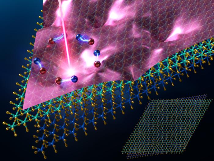 Mapping the hidden disorder landscape of a moiré heterostructure