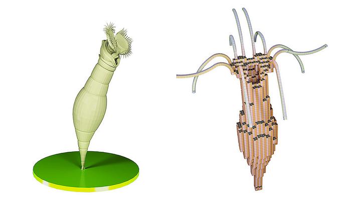 SMARTELTs organized as an artificial organism