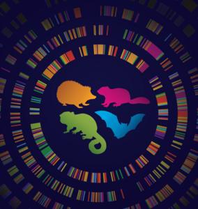 Hibernator graphic