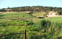 Wetland 