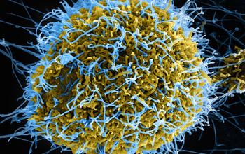 Ebola Virus
