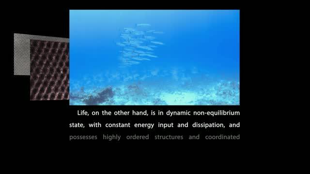 Dynamic and Programmable Self-Assembly of Microrafts at the Air-Water Interface (2 of 2)