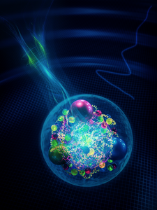 Artists view of the neutron and its internal structure