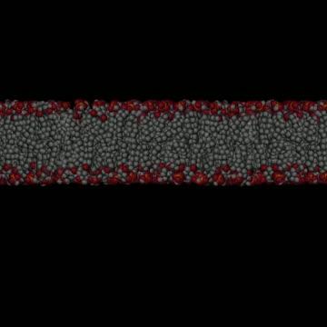 New Structure of a Calcium-Shuttling Molecule Could Help Scientists Target Aggressive Cancers