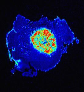 Nanosensor