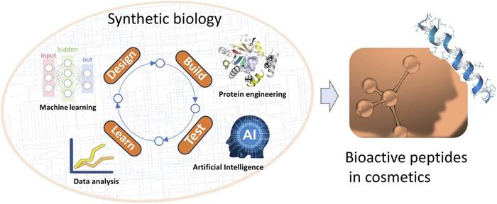 Graphical Abstract