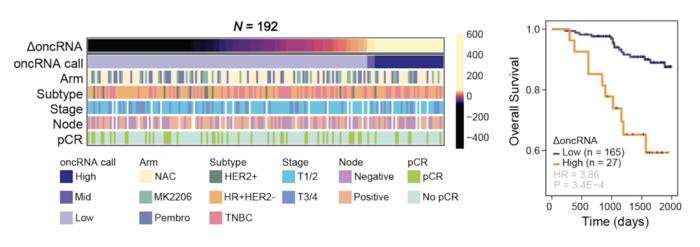 oncRNA presence in patient tumors