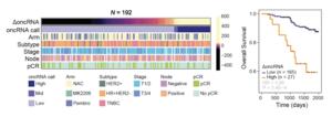 oncRNA presence in patient tumors