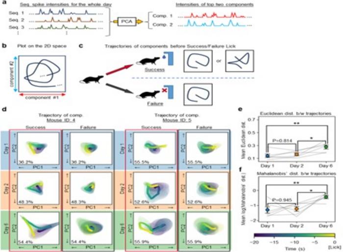 Neural Dynamics Distinguish Success and Failure in Reward-Based Learning