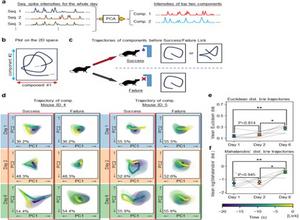 Neural Dynamics Distinguish Success and Failure in Reward-Based Learning