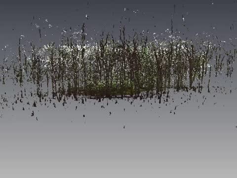 Woodland Flythrough