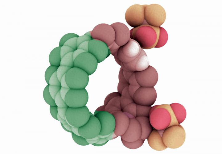 Illustrated View of a Nanohoop